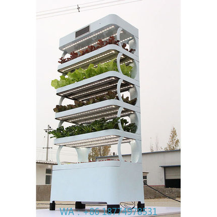 Smart Garden Home - Sistem Hidroponik Rumah Tangga Terbaru, Kebun