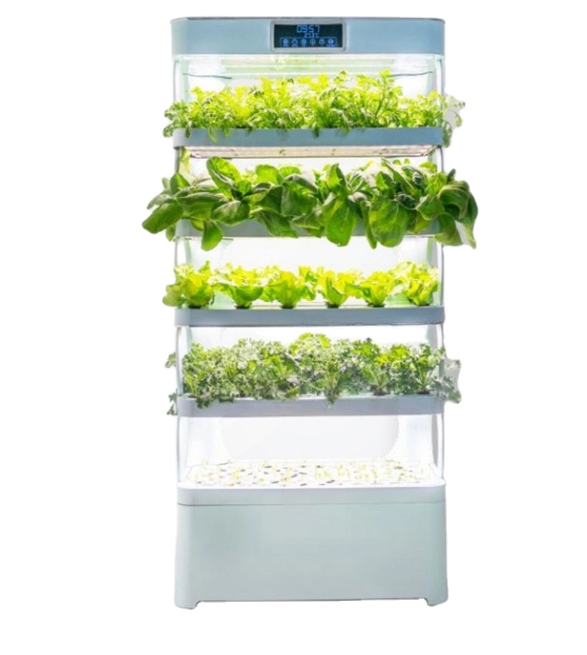 Sistem Hidroponik Rumah Tangga - Smart Garden Home ulasan dan harga