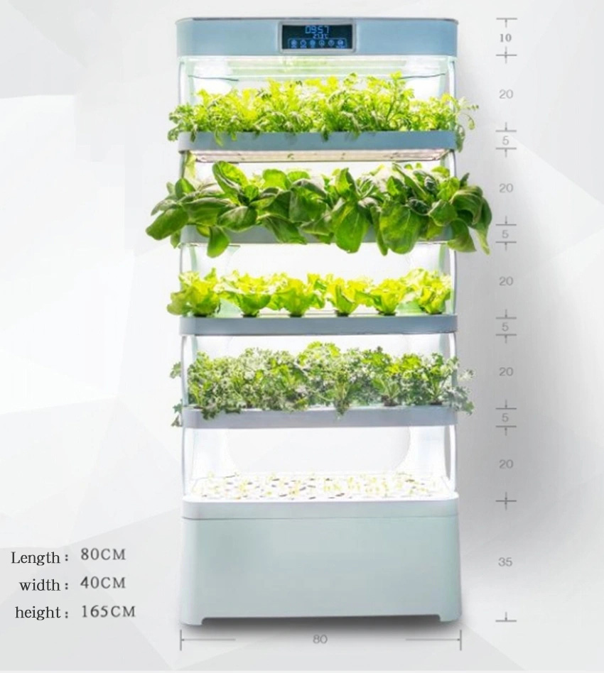 Sistem Hidroponik Rumah Tangga - Smart Garden Home ulasan dan harga
